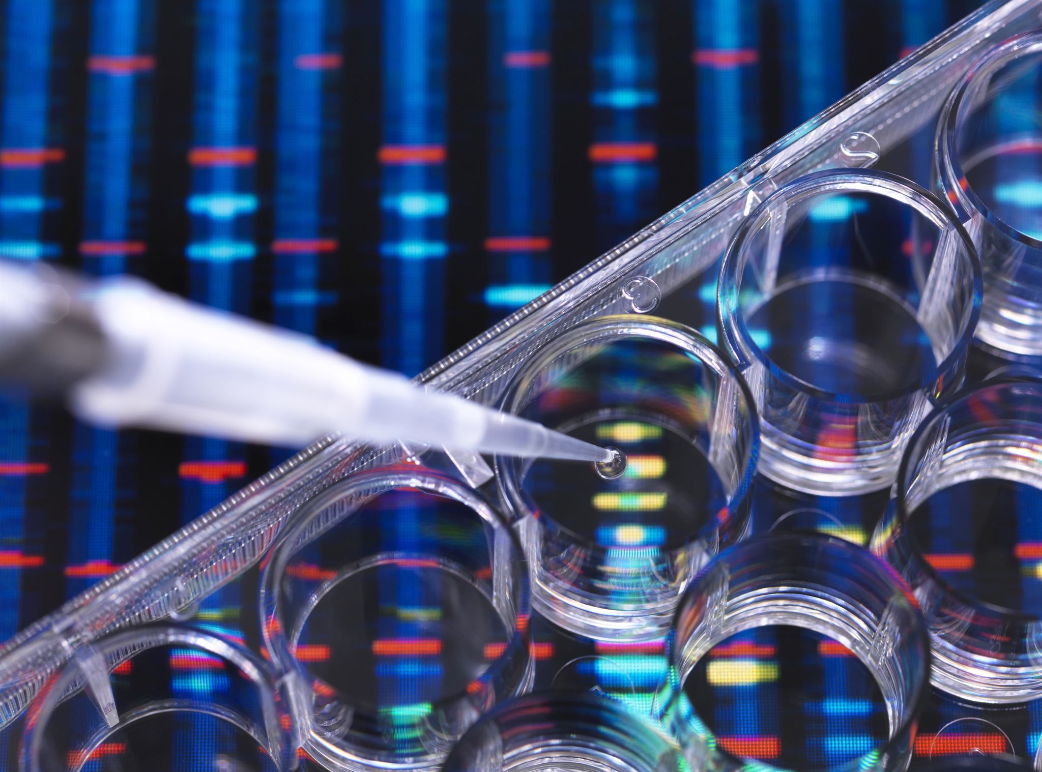 SynapticSynthase Research